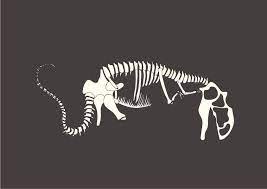 This guide shows all dinosaur bones in rdr2. Illustrator Shervong