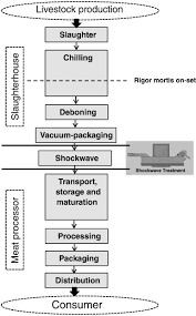 New Developments In Shockwave Technology Intended For Meat