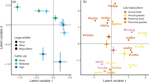 Image result for Rhynchosia holstii