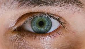 We did not find results for: Meibomite Conseils Pour Eviter D Avoir Les Yeux Qui Brulent