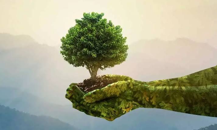 World Nature Conservation Day 2023: Wishes, Quotes, WhatsApp Messages And  Facebook Status To Share On This Special Occasion