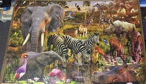 Enjoy our gallery of jungles, plants and outdoors puzzle games for kids and adults. 3000 Piece Jungle Puzzle Was Extremely Fun To Do Jigsawpuzzles