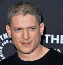 Explore {{searchview.params.phrase}} by color family {{familycolorbuttontext(colorfamily.name)}} Wentworth Miller Came Out As Gay In 2013 Inside The Prison Break Star S Personal Life