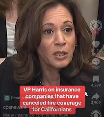 I produced this piece for MTV News