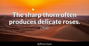 Browse famous thorn quotes and sayings by the thousands and rate/share your favorites! Thorn Quotes Brainyquote