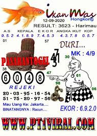 Syair Togel Ikan Mas Rajiman