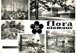 Jsme wellness zařízení nabízející vám odpočinek, uvolnění a nacházíme se v centru města olomouc v prostorách hotelu flora. Ak Ansichtskarte Olomouc Flora Olomouc Nr Kp26115 Oldthing Ansichtskarten Tschechische Republik