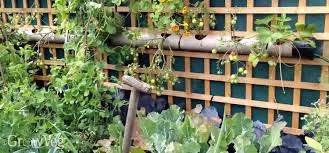 Shade gardens provide cool, refreshing areas of beauty during summer's heat. Maximize Your Space Stunning Design Ideas For Small Gardens