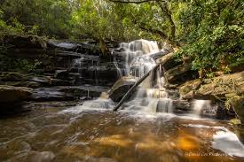 It was beautiful on the forest floor. Somersby Falls Somersby Nsw Coxydave Flickr