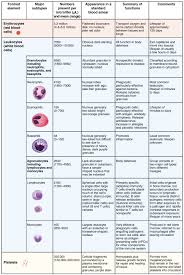 18 3 Erythrocytes Anatomy And Physiology