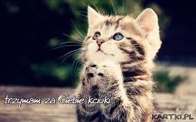 Znalezione obrazy dla zapytania emotki kciuki