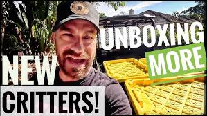 Kenan Invades Iguanafest!