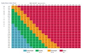 morbid obesity bmi chart easybusinessfinance net