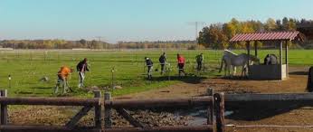 Paddock Trail Pferdehaltung Pferdestall Ideen Reiten