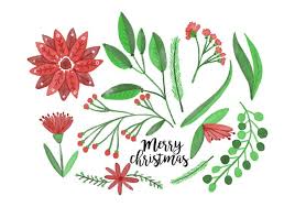 Free Christmas Flowers Download Free Vectors Clipart Graphics Vector Art