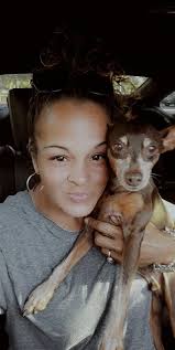 FOUND!! -- Thank you Tina!! -- Duke is missing! His family can't find him  anywhere. Requesting desperate prayers for his safe return. He is old and  deaf. Gone about 15 hours. Missing