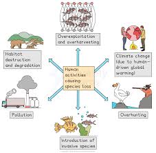 Image result for Science Environment Biodiversity Extinction