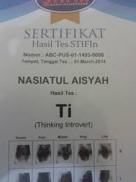 This is just for fun. Tes Kecerdasan Personality By Stifin Nasiatul Aisyah Salim