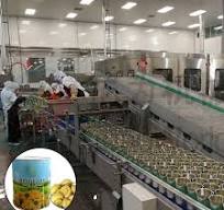 Full Automatic Mushroom Canning Machine