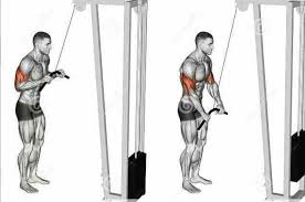 Pin On Isolation Exercises