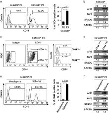 The service should be free. Api5 Confers Cancer Stem Cell Like Properties Through The Fgf2 Nanog Axis Oncogenesis
