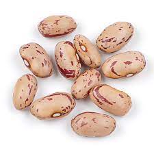 We wanted to create a dish that would highlight these beans using a gently spiced flavor profile. Cranberry Beans