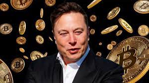 First off there are no passwords on btc. Elon Musk Has Become The Biggest Influence On Bitcoin Economics Arab And International Algulf