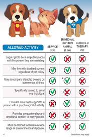 If your dog has passed basic obedience and advanced training, such as the canine good citizen test, they might be ready for therapy dog training. Pin On Animal Assisted Healing