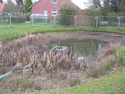 We did not find results for: How To Dredge A Pond A Definitive Guide With Diy Methods Pond Wiki