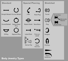 Diagrams Viscacha Graphics