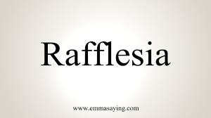 How To Pronounce Rafflesia Youtube