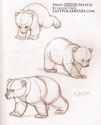 Risultato Della Ricerca Immagini Di Google Per Http Www Lastpolarbears Com Wp Content Uploads 2010 09 Daily Animal Drawings Sketches Animal Sketches Bear Art
