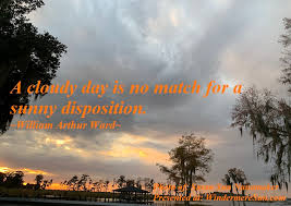 Dogs Being Sunned A Cloudy Day Is No Match For A Sunny Disposition Windermere Sun For Healthier Happier More Sustainable Living