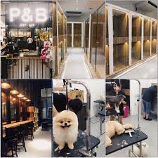 You can bring your dogs there to mingle around with them, and the waffles are said to be good! 10 Dog Cafes In Kuala Lumpur Selangor Perromart Malaysia