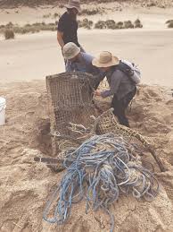 Page 612-coastal secrets revealed