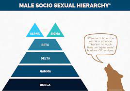 Male Hierarchy Explained: Is This Just Bro Science?