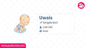 Kisah uwais al qarni yg sangat taat pada ibunya dan segala doanya dimakbulkan allah, wali allah yg tidak dikenali di muka bumi tapi sangat terkenal dilangit. Arti Nama Uwais Posbunda