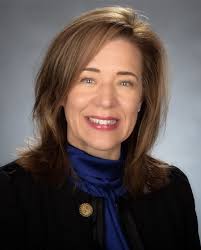 District 18: Sara Knizhnik