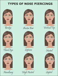 Everything about nose piercings *including terrible experience*. How To Choose A Nose Ring Jewelry Guide