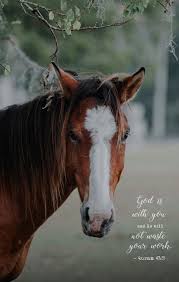 Each of our wallpapers can be downloaded to fit almost any device, no matter if you're running an android phone, iphone, tablet or pc. Inspirational Quotes From The Quran Phone Wallpaper Horses Horse Wallpaper Free Horses