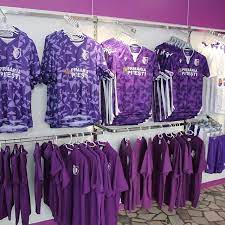 Fotbal club argeș pitești, cunoscut sub numele de fc argeș sau argeș pitești, este un club profesionist de fotbal din românia cu sediul în pitești, județul argeș, ce evoluează în prezent în liga i. Facebook