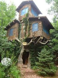 O incluso no tan pequeños, la idea de un refugio a unos cuantos metros de altura es verdaderamente atractiva. Casa En El Arbol Beautiful Tree Houses Cool Tree Houses Tree House