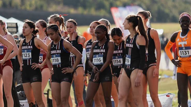 Gamecocks Look to Continue Historical Run at Regionals – University of  South Carolina Athletics