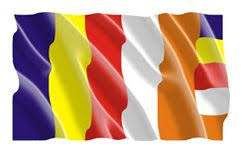 Brisbane Buddhist Council Of Queensland Buddhist Wind Sock Flag