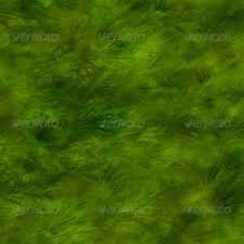 Check spelling or type a new query. Texture Grass 3d Models Stlfinder