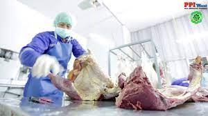 Supplier of fertilizer, lawn fertilizer & organic fertilizer offered by pt ppi from jakarta, jakarta raya, indonesia. Ppi Meat Daging Sapi Pt Perusahaan Perdagangan Indonesia Persero Youtube