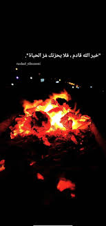 ورد أصفر طبيعة شجر اصفر غزة طبيعة جميل فلسطين القدس كلام تصوير صور ابيض صباح خير صل photo and video photo instagram photo