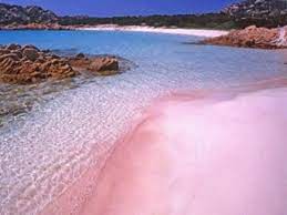 The stunning isola budelli is part of the beautiful archipelago la maddalena and it's especially known for the spiaggia rosa (pink beach) Budelli Fotos Besondere Budelli La Maddalena Bilder Tripadvisor