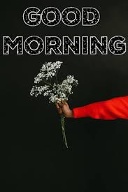 The best gifs are on giphy. 35 Romantic Good Morning Gif Animated Images For Him Her