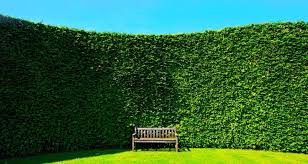 One way is through sound absorption. 5 Ways To Reduce Traffic Noise From A Balcony